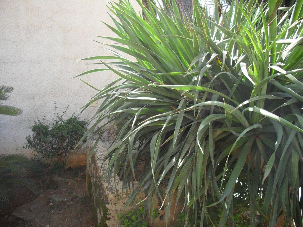 Apartament Casa Petros Marsala Zewnętrze zdjęcie