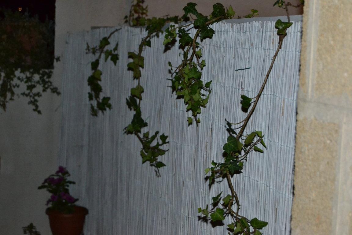 Apartament Casa Petros Marsala Zewnętrze zdjęcie